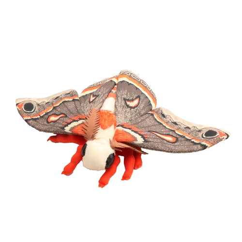 Hyalophora Cecropia Moth Plushie