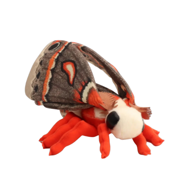Hyalophora Cecropia Moth Plushie