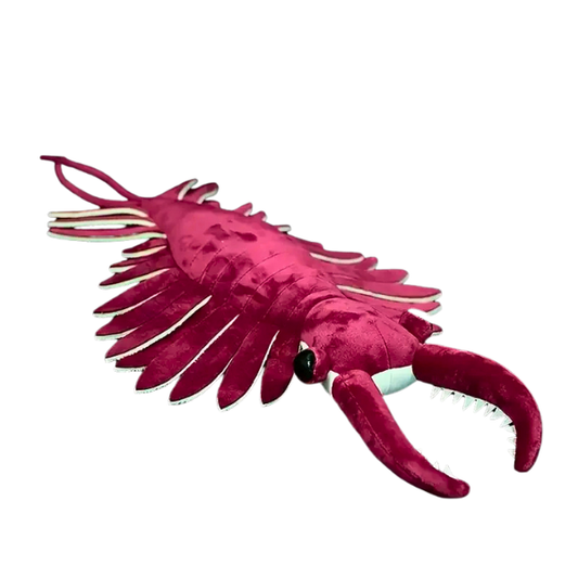 Anomalocaris Plushie