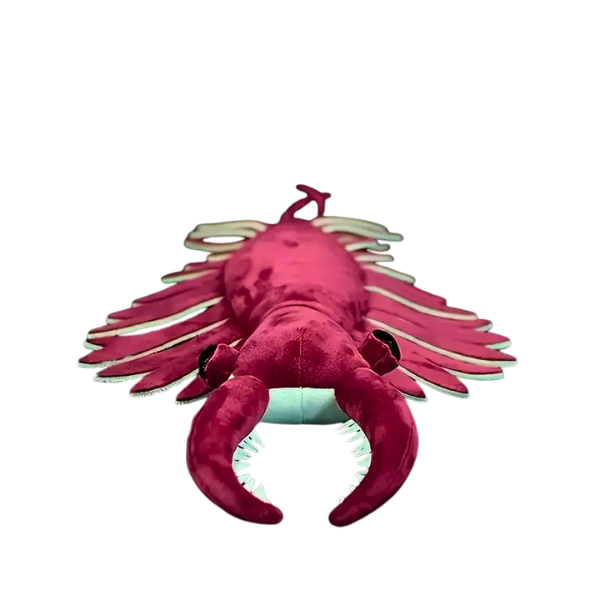 Anomalocaris Plushie